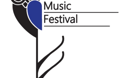 NOCTUA MUSIC FESTIVAL 2k24